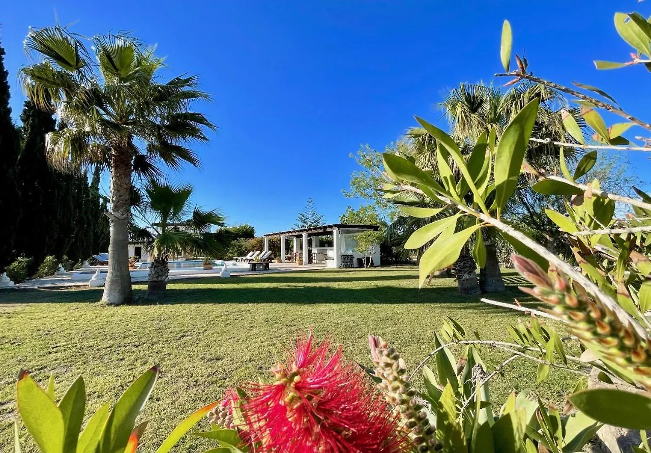 Villa El Palau San José